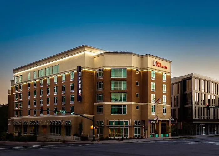 Hilton Garden Inn Asheville Downtown